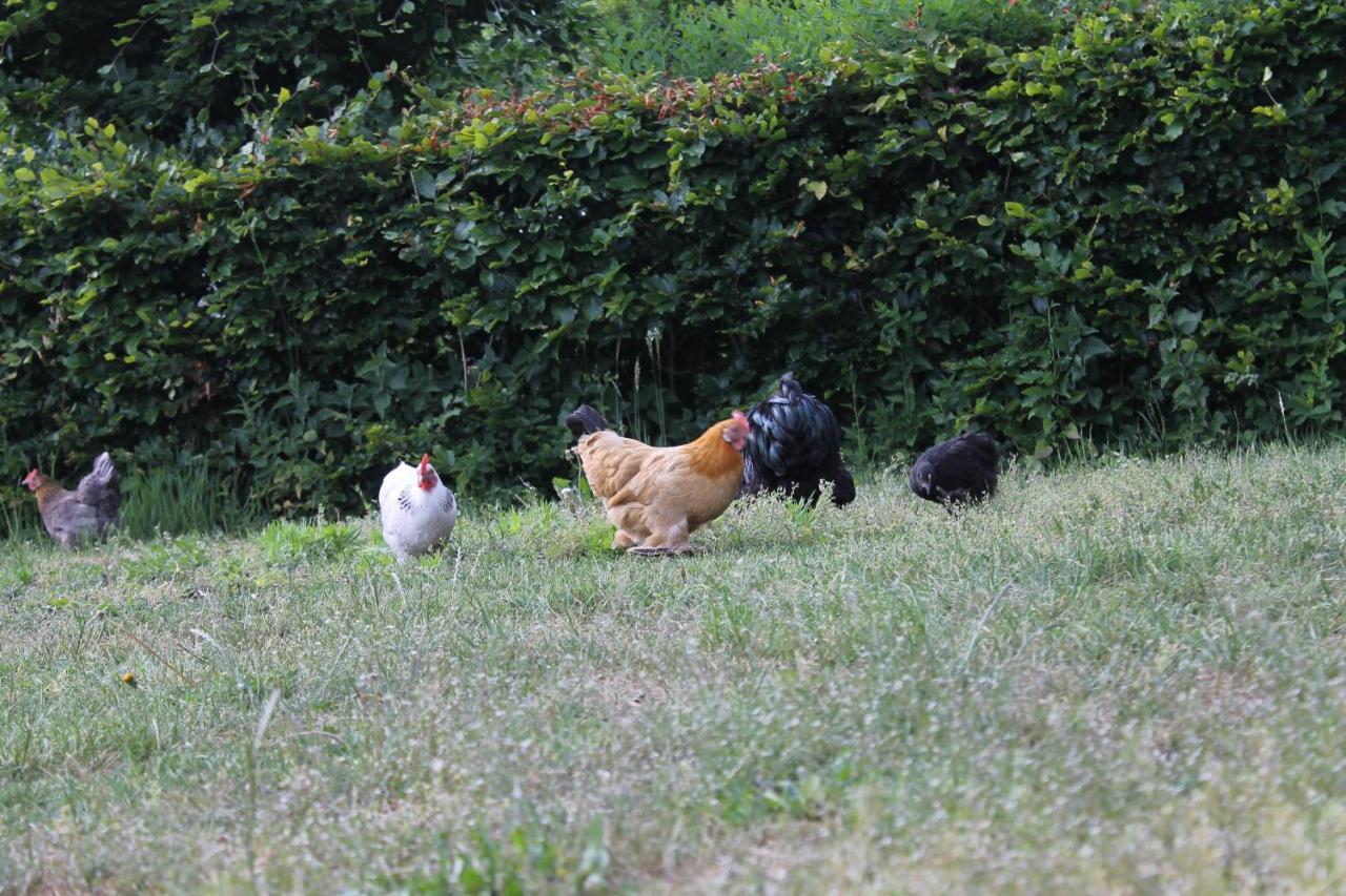 Hoeve Op Vollenhof Wezep Luaran gambar