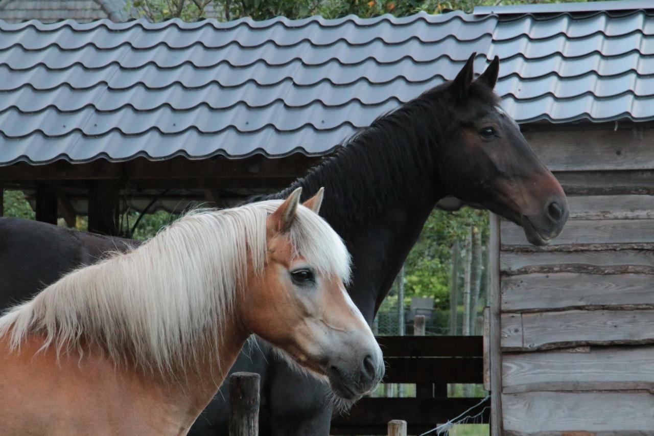 Hoeve Op Vollenhof Wezep Luaran gambar