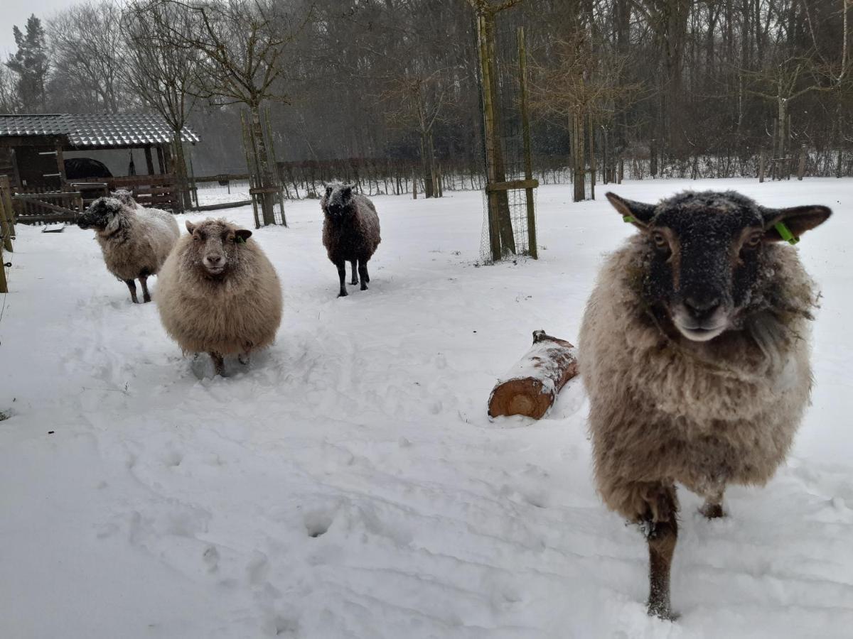 Hoeve Op Vollenhof Wezep Luaran gambar