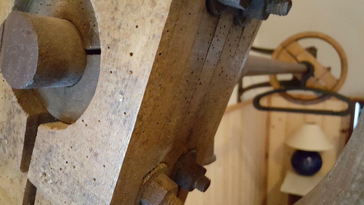 Hoeve Op Vollenhof Wezep Luaran gambar